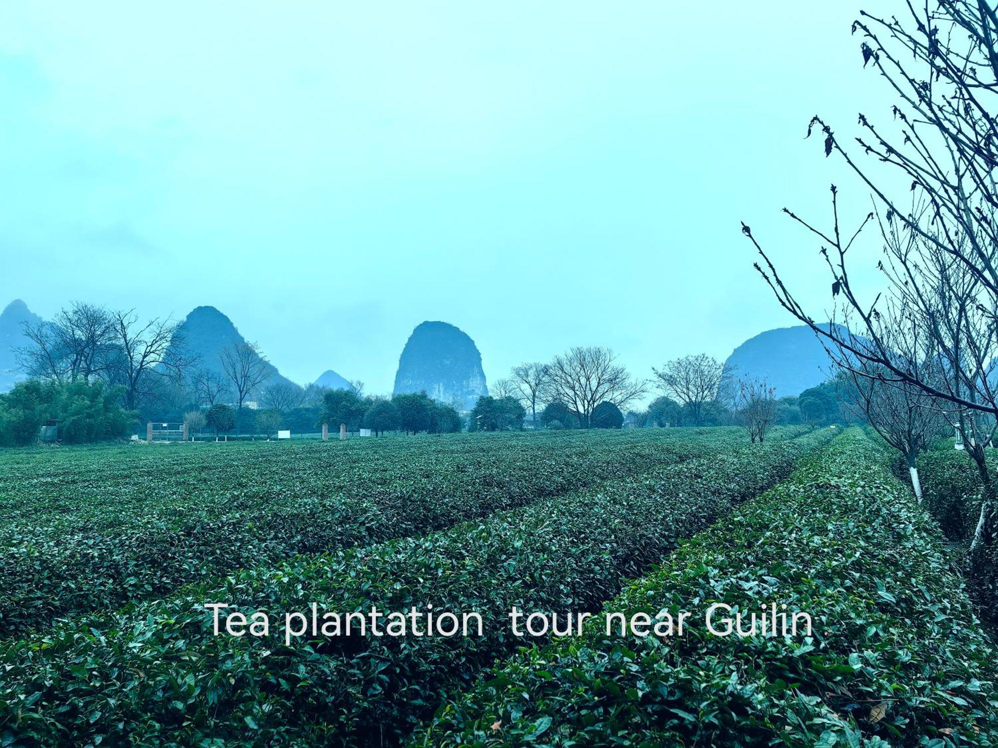 Guilin Village Creek Inn-Free Private Car Pick Up Station Stay 3 Nights 外观 照片