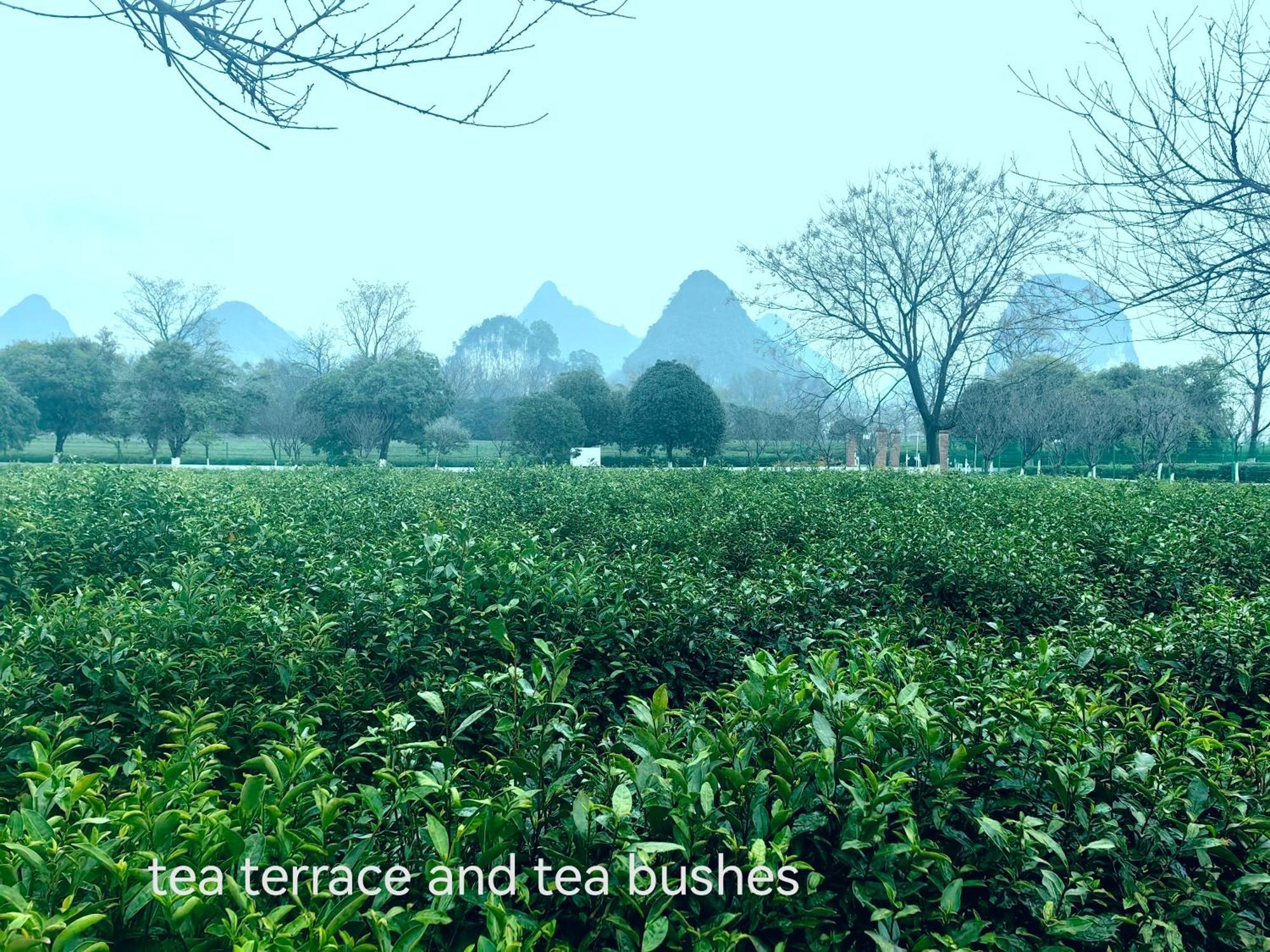 Guilin Village Creek Inn-Free Private Car Pick Up Station Stay 3 Nights 外观 照片